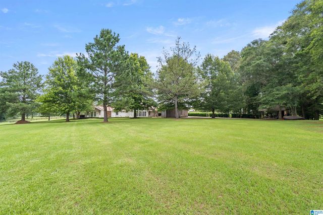 2454 BLUE SPRINGS ROAD, Wilsonville, AL 35186