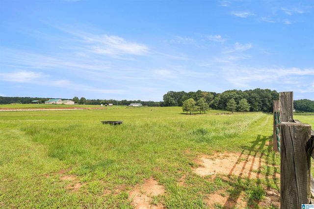 2454 BLUE SPRINGS ROAD, Wilsonville, AL 35186