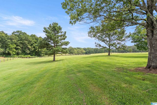 2454 BLUE SPRINGS ROAD, Wilsonville, AL 35186