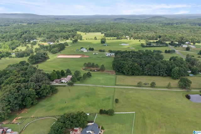 2454 BLUE SPRINGS ROAD, Wilsonville, AL 35186