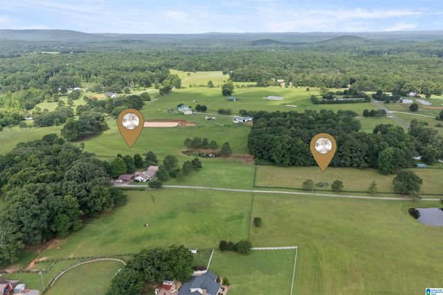 2454 BLUE SPRINGS ROAD, Wilsonville, AL 35186