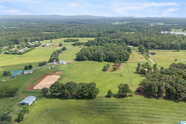 2454 BLUE SPRINGS ROAD, Wilsonville, AL 35186