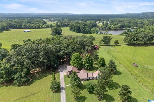 2454 BLUE SPRINGS ROAD, Wilsonville, AL 35186