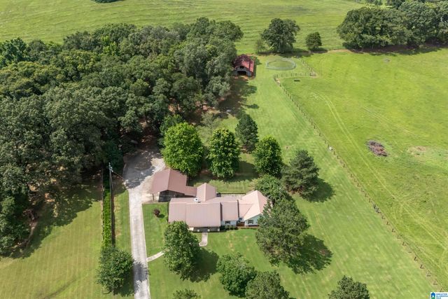 2454 BLUE SPRINGS ROAD, Wilsonville, AL 35186
