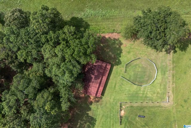 2454 BLUE SPRINGS ROAD, Wilsonville, AL 35186