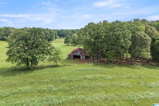 2454 BLUE SPRINGS ROAD, Wilsonville, AL 35186