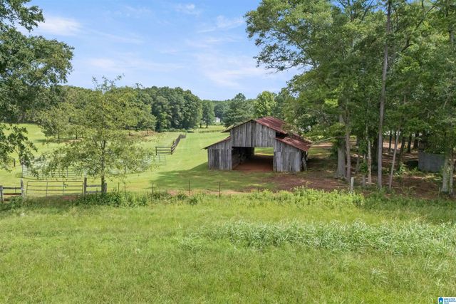 2454 BLUE SPRINGS ROAD, Wilsonville, AL 35186