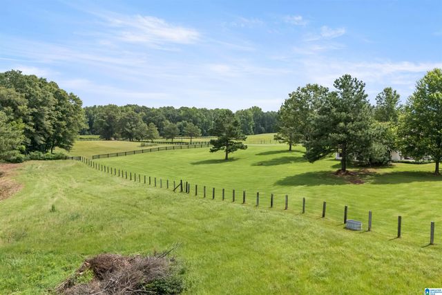 2454 BLUE SPRINGS ROAD, Wilsonville, AL 35186