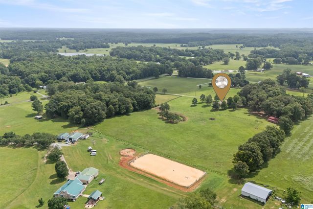 2454 BLUE SPRINGS ROAD, Wilsonville, AL 35186