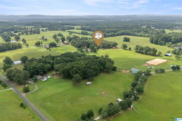 2454 BLUE SPRINGS ROAD, Wilsonville, AL 35186