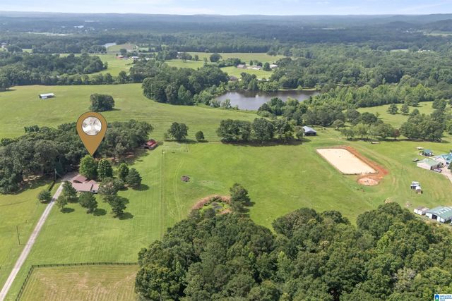 2454 BLUE SPRINGS ROAD, Wilsonville, AL 35186