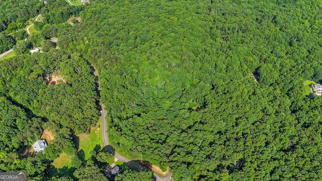 173 Hogan Pond Lane, Ball Ground, GA 30107