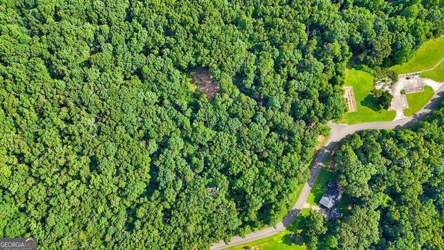 173 Hogan Pond Lane, Ball Ground, GA 30107