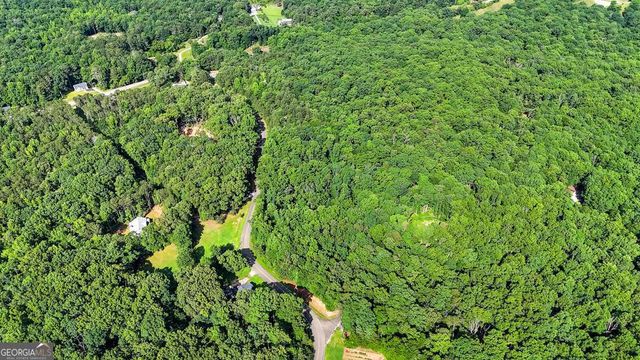 173 Hogan Pond Lane, Ball Ground, GA 30107