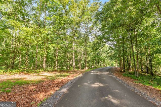 173 Hogan Pond Lane, Ball Ground, GA 30107