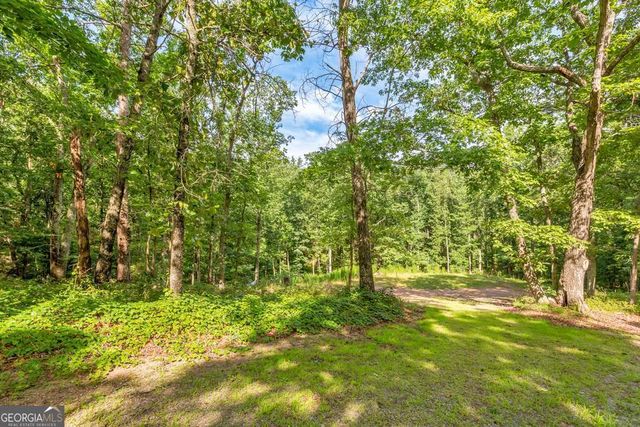173 Hogan Pond Lane, Ball Ground, GA 30107