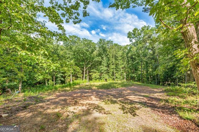 173 Hogan Pond Lane, Ball Ground, GA 30107