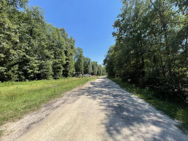 Lot 265-267 Knottypine, Livingston, TX 77351