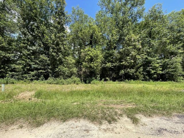 Lot 265-267 Knottypine, Livingston, TX 77351