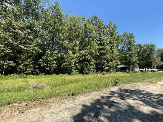 Lot 265-267 Knottypine, Livingston, TX 77351