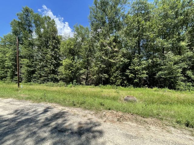 Lot 265-267 Knottypine, Livingston, TX 77351