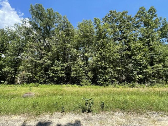 Lot 265-267 Knottypine, Livingston, TX 77351