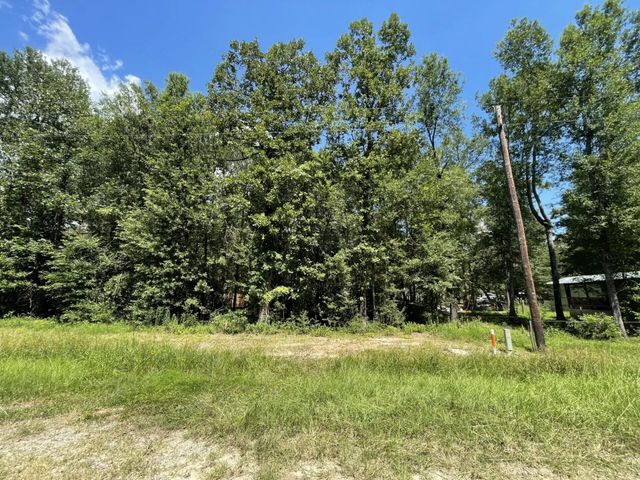 Lot 265-267 Knottypine, Livingston, TX 77351