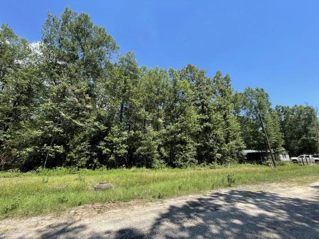 Lot 265-267 Knottypine, Livingston, TX 77351