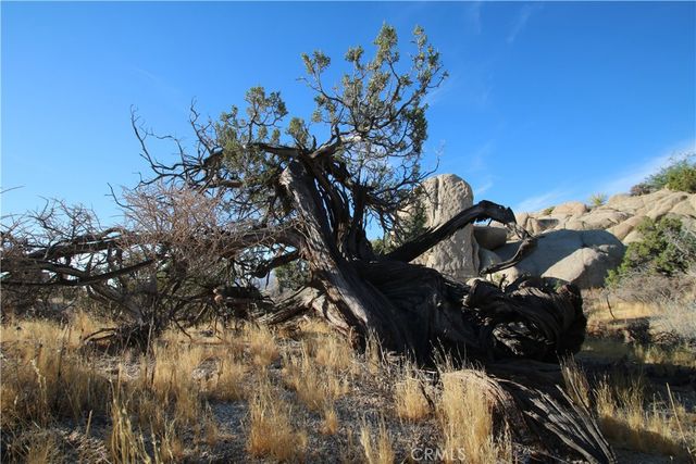 0 Mirlo, Yucca Valley, CA 92284