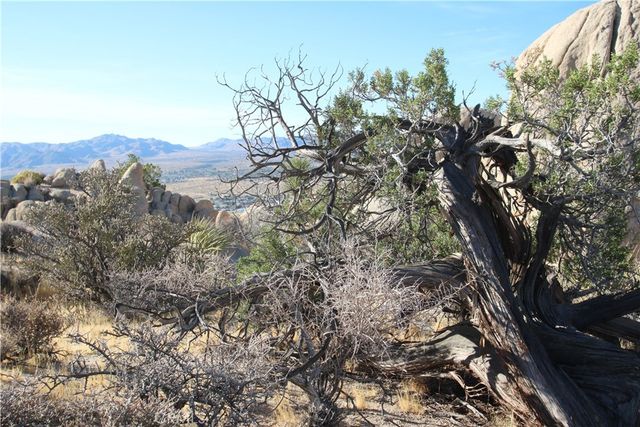 0 Mirlo, Yucca Valley, CA 92284