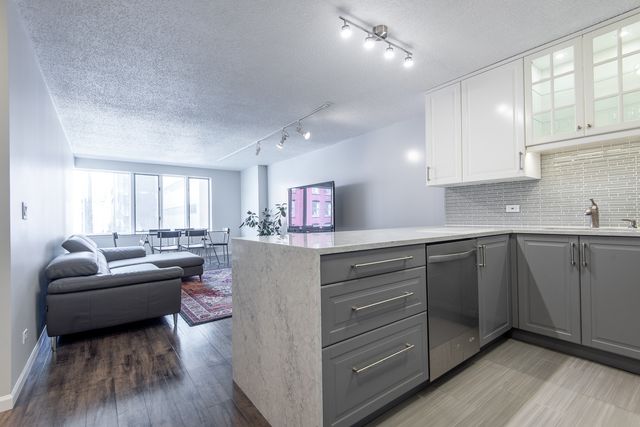 801 S Plymouth Court 417, Chicago, IL 60605