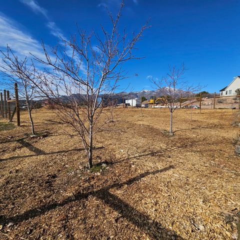 2204 S OLD HIGHWAY 91, New Harmony, UT 84757