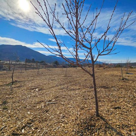 2204 S OLD HIGHWAY 91, New Harmony, UT 84757