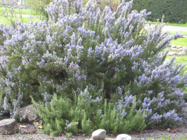 273 CREST Dr, Myrtle Creek, OR 97457