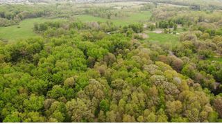 1192 Stags Leap Lane, Ann Arbor, MI 48103