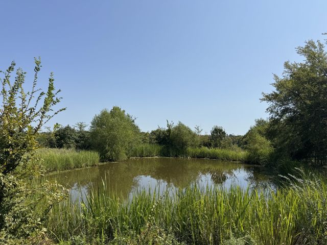 2650 NW 18TH, Paris, TX 75460