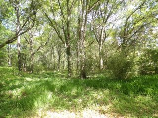 1558 Scott Hill Road, Charleston, SC 29412