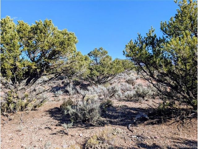 Lot 3243 Paine Road, Fort Garland, CO 81133