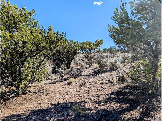 Lot 3243 Paine Road, Fort Garland, CO 81133