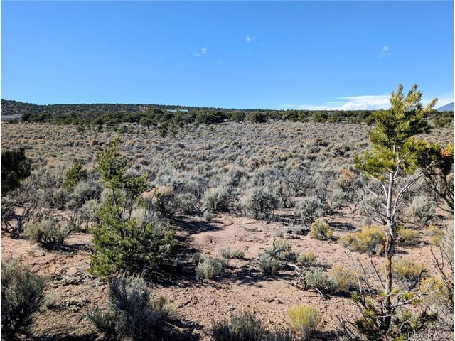 Lot 3243 Paine Road, Fort Garland, CO 81133