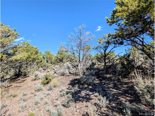 Lot 3243 Paine Road, Fort Garland, CO 81133