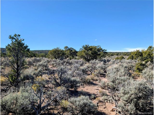 Lot 3243 Paine Road, Fort Garland, CO 81133
