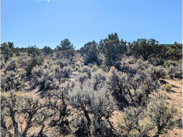 Lot 3243 Paine Road, Fort Garland, CO 81133
