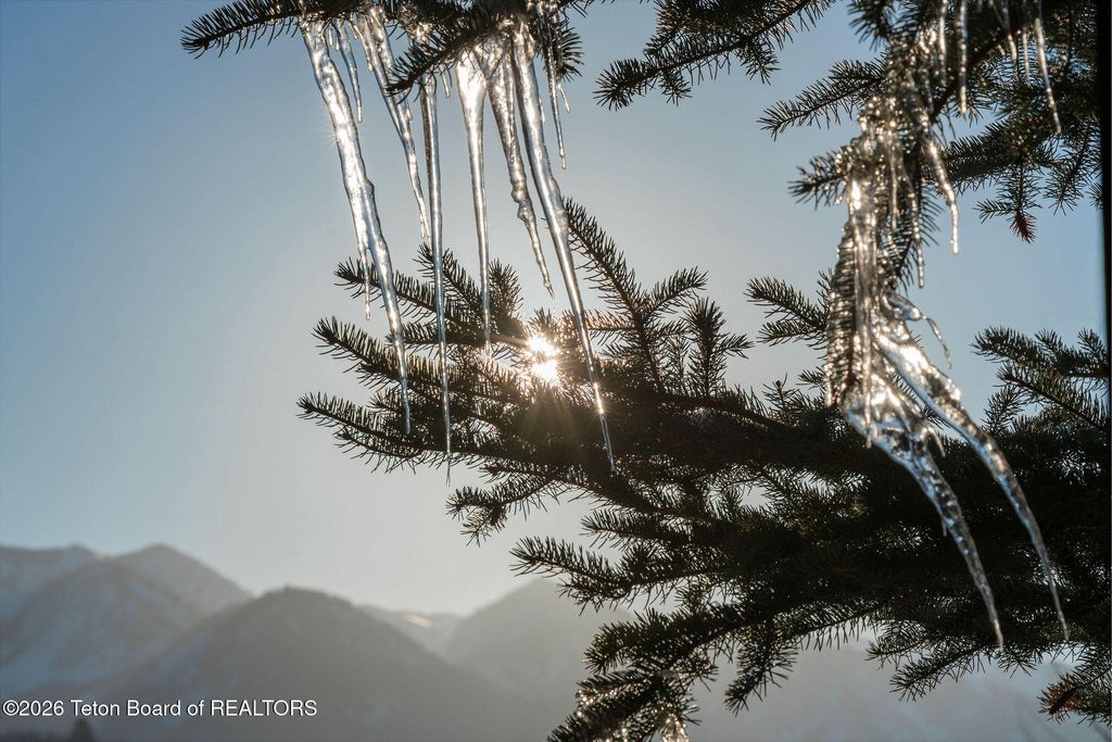 176 RIVER TRAIL DR Drive, Alpine, WY 83128 photo 48