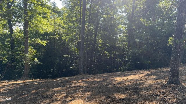 13 Rupert Drive, Dandridge, TN 37725
