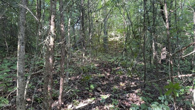 13 Rupert Drive, Dandridge, TN 37725