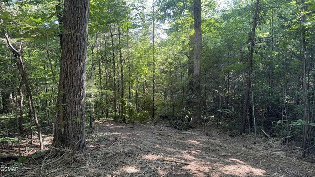 13 Rupert Drive, Dandridge, TN 37725