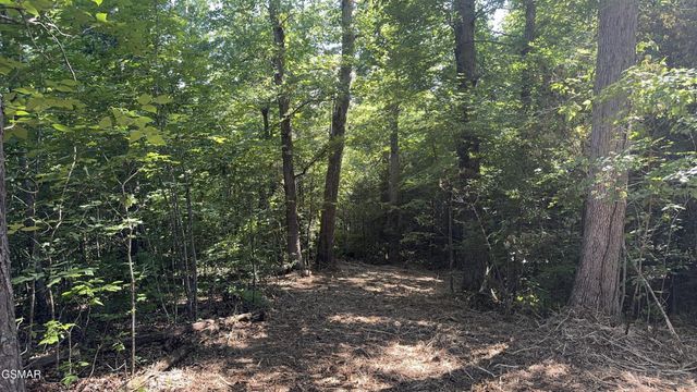 13 Rupert Drive, Dandridge, TN 37725