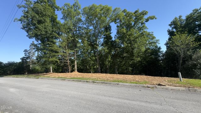 13 Rupert Drive, Dandridge, TN 37725