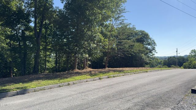 13 Rupert Drive, Dandridge, TN 37725